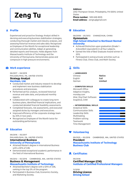 Strategy Analyst Resume Sample