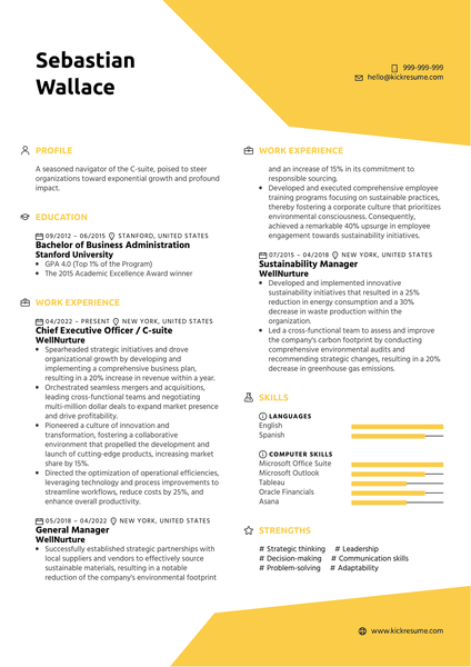 C-suite Resume Sample