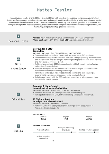 CMO Resume Example