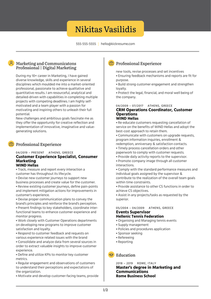 Digital Marketer Resume Example