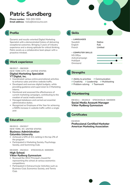 Internet Marketing Resume Example