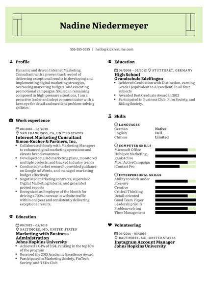 Internet Marketing Consultant Resume Example