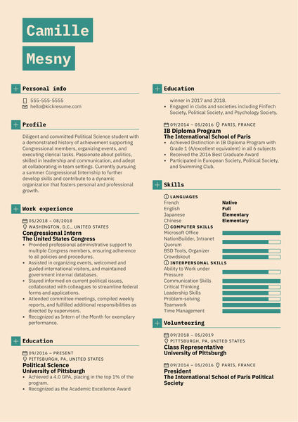 Congressional Intern Resume Example