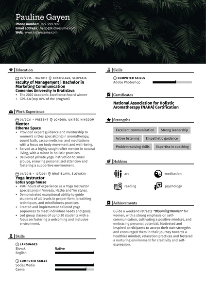 Mentor Resume Sample