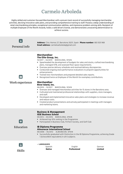 Merchandiser Resume Sample