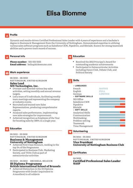 Sales Lead Resume Example