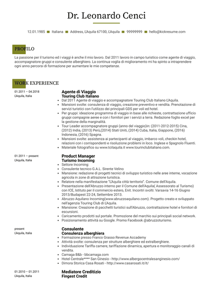 Sales Specialist Resume Example [IT]