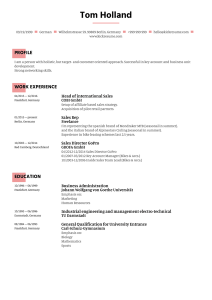 Sales Manager Resume Example