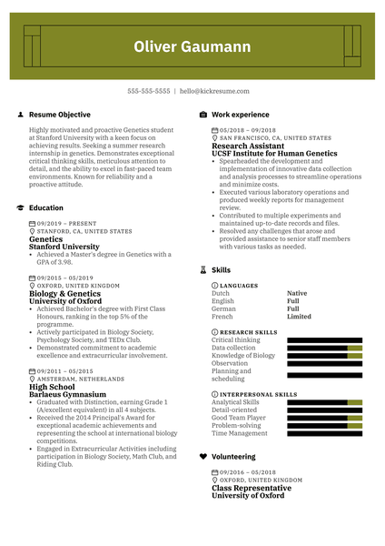 Free Academic Resume Example