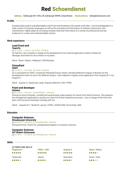 TeamTO Lead Front-end Developer CV Sample