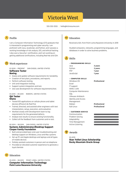 TubeBuddy Software Tester Resume Example