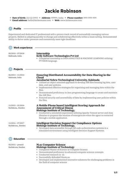 Junior Software Engineer Resume Sample