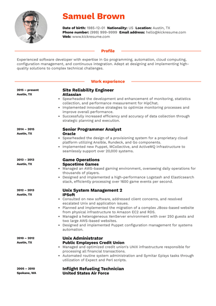 IT Developer Engineer Resume Sample