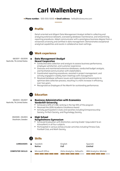 Data Management Analyst Resume Example