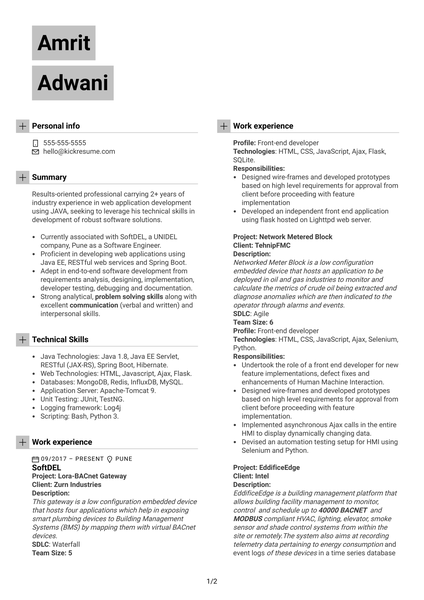 Global Services IT Professional Resume Example