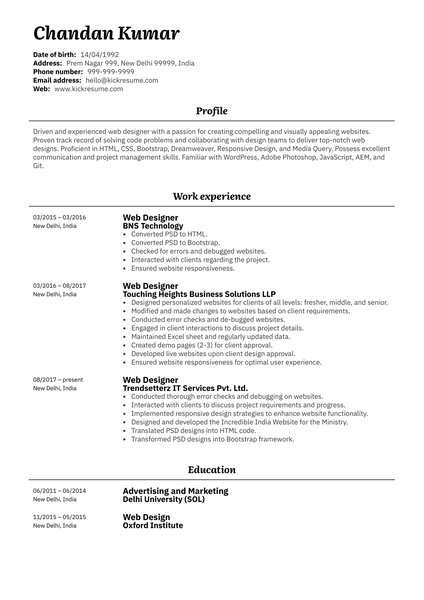 Professional Web Designer Resume Example