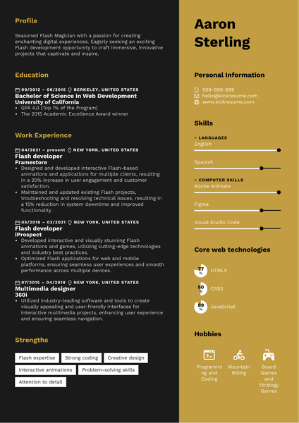 Flash Developer Resume Sample