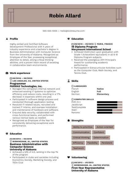 Programmer Resume Template