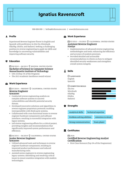 Reverse Engineer Resume Sample