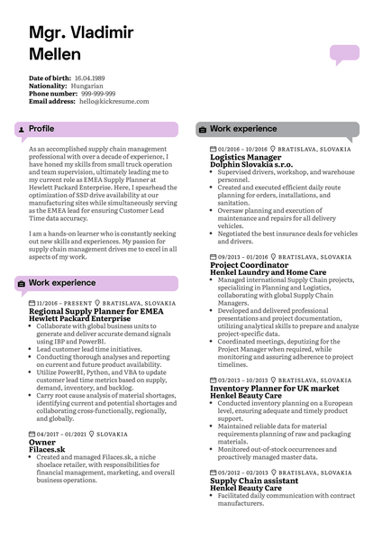 Investment Officer Resume Example