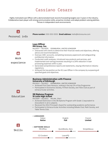 Professional Loan Officer Resume Example