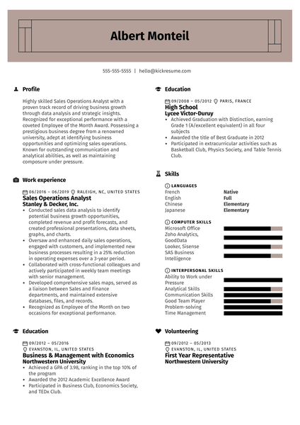 Sales Operations Analyst Resume Sample