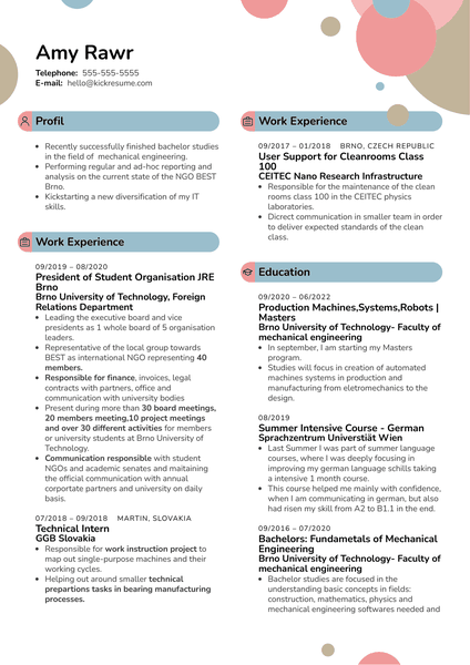 Summer Intern at Zebra Resume Sample