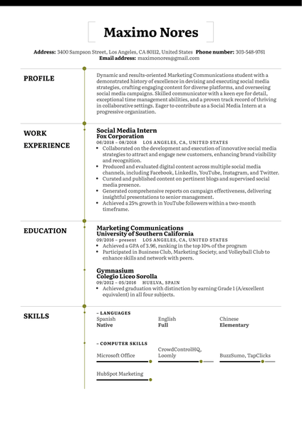 Social Media Intern Resume Example