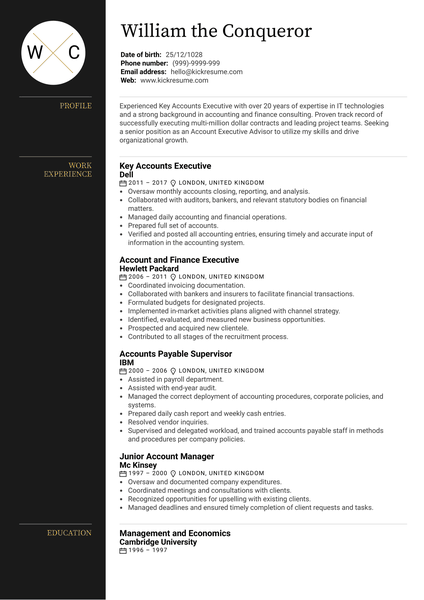 Executive Account Manager Resume Sample