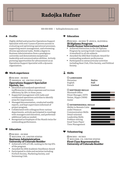 Operations Support Specialist Resume Example