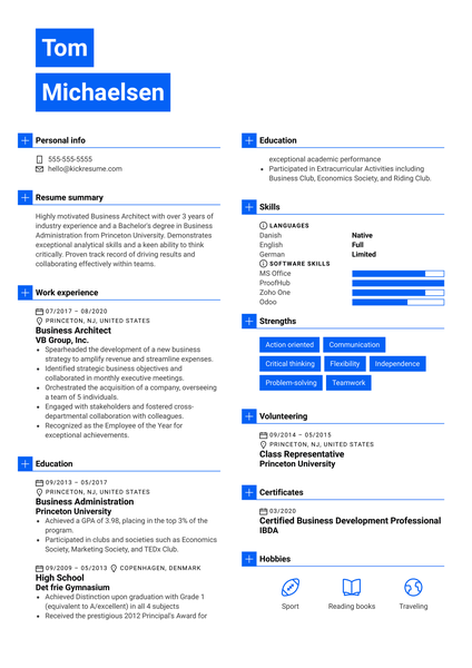 Business Architect Resume Example