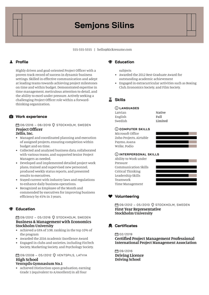 Project Officer Resume Example