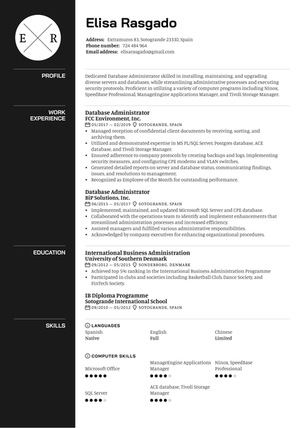 Database Administrator Resume Example