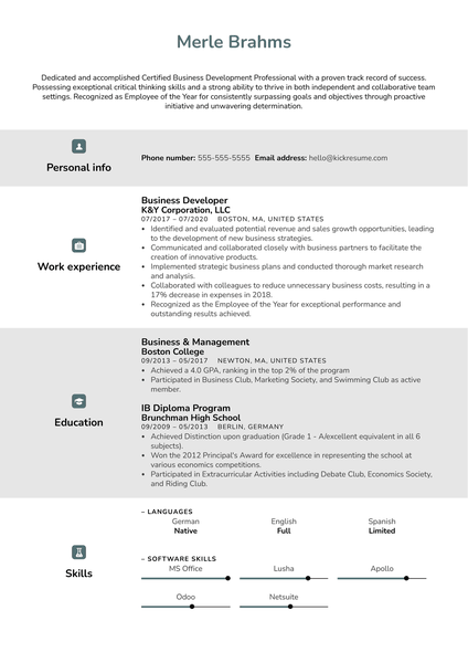 Business Developer Resume Example