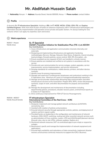 IT Project Manager Resume Example