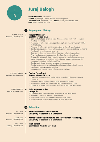 Product Manager Resume Example