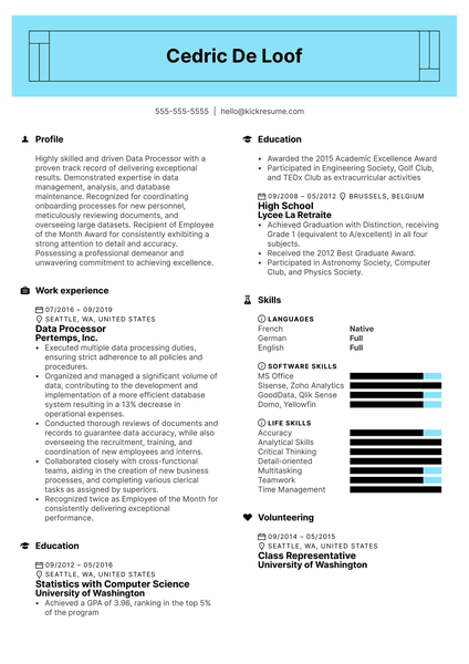 Data Processor Resume Example