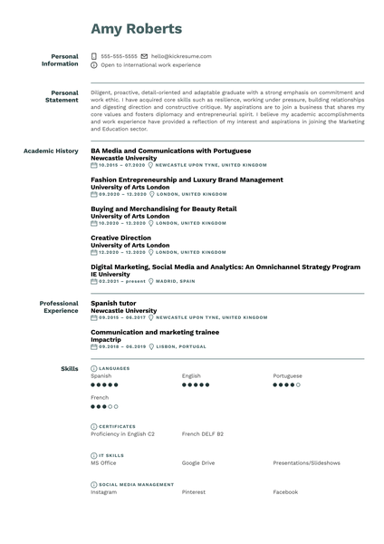 Analyst at ING Resume Sample