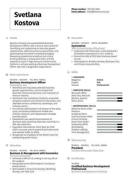 Business Development Officer Resume Example