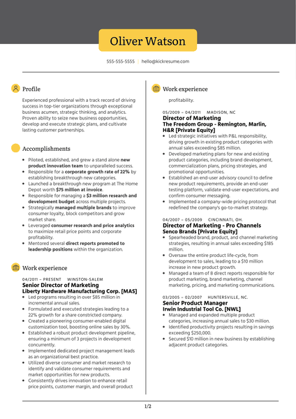 Vice President of Marketing Resume Example