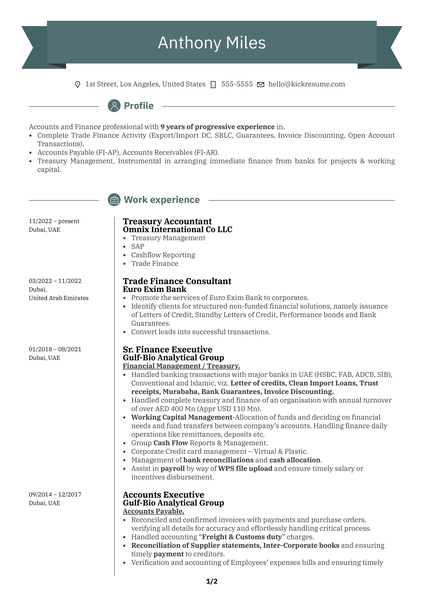 Omnix Treasury Accountant Resume Sample