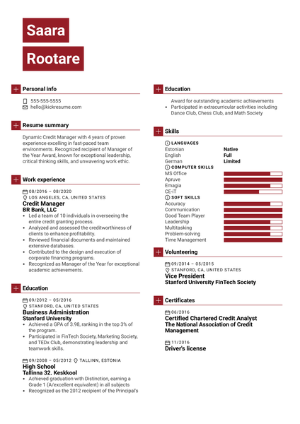 Credit Manager Resume Example