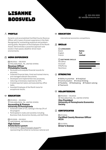 Revenue Officer Resume Example