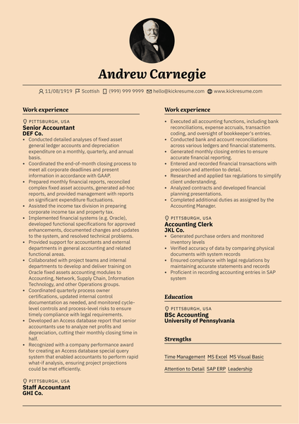 Senior Accountant CV Resume Example