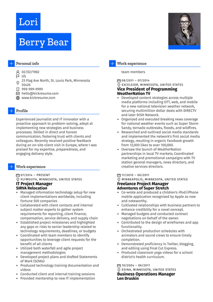 Project Manager, Journalist CV Sample