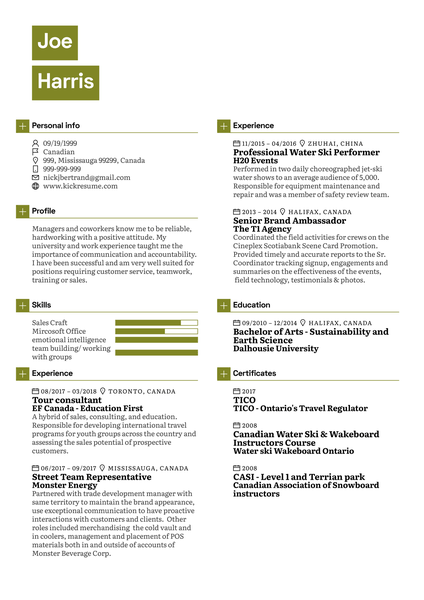 Sales and Customer Representative CV Sample