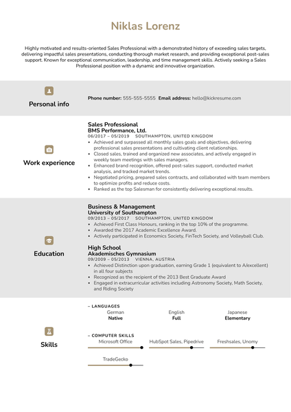 Sales Professional Resume Example