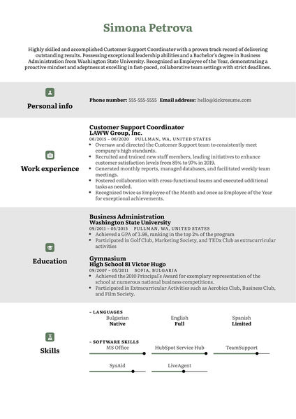 Free Customer Support CV Example