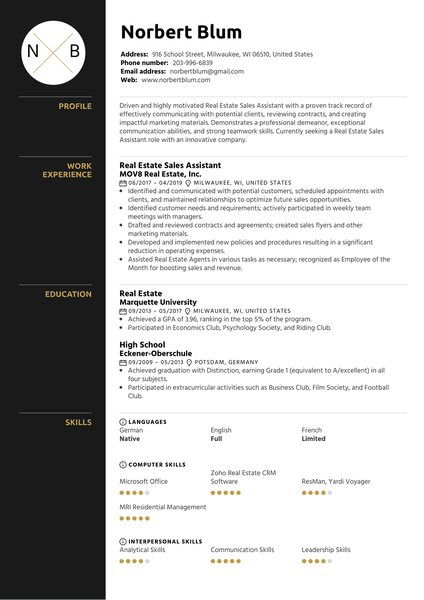 Real Estate Sales Assistant Resume Example