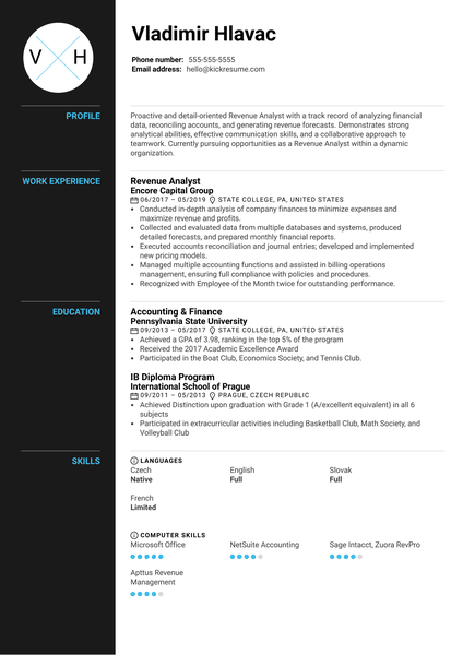 Revenue Analyst Resume Sample